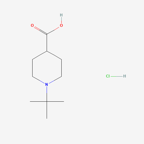 1-(tert-Butyl)piperidine-4-carboxylic acid hydrochloride