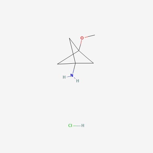 3-Methoxybicyclo[1.1.1]pentan-1-amine hydrochloride