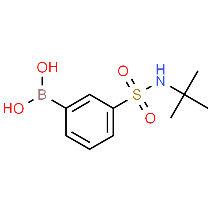 3-[N-(tert-Butyl)sulfamoyl]phenylboronic Acid