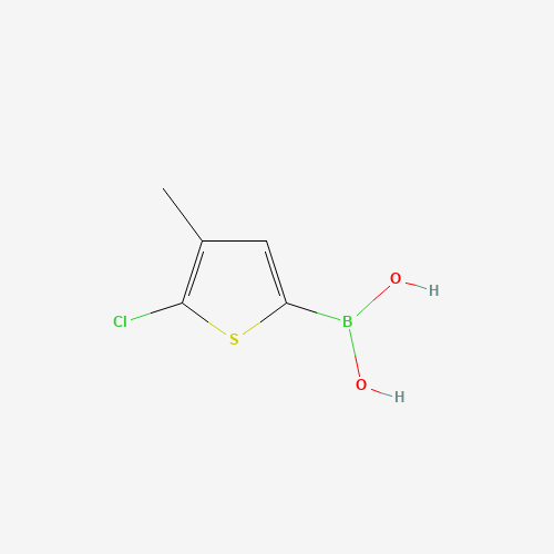 (5-Chloro-4-methylthiophen-2-yl)boronic acid
