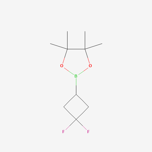 2-(3,3-Difluorocyclobutyl)-4,4,5,5-tetramethyl-1,3,2-dioxaborolane