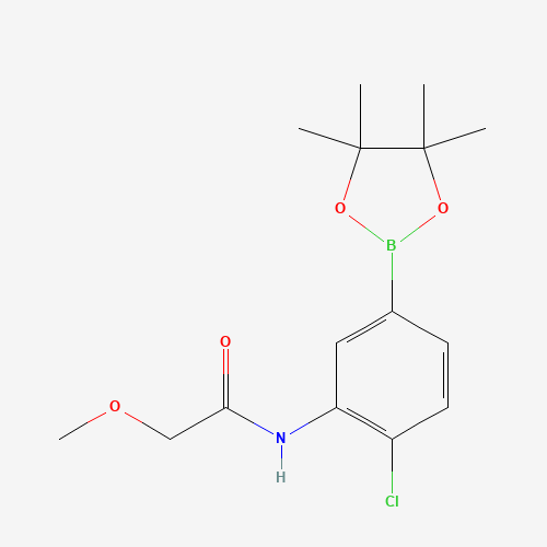 N-(2-Chloro-5-(4,4,5,5-tetramethyl-1,3,2-dioxaborolan-2-yl)phenyl)-2-methoxyacetamide