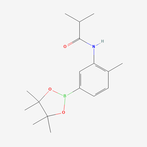 N-(2-Methyl-5-(4,4,5,5-tetramethyl-1,3,2-dioxaborolan-2-yl)phenyl)isobutyramide