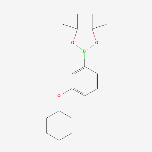 2-(3-(Cyclohexyloxy)phenyl)-4,4,5,5-tetramethyl-1,3,2-dioxaborolane