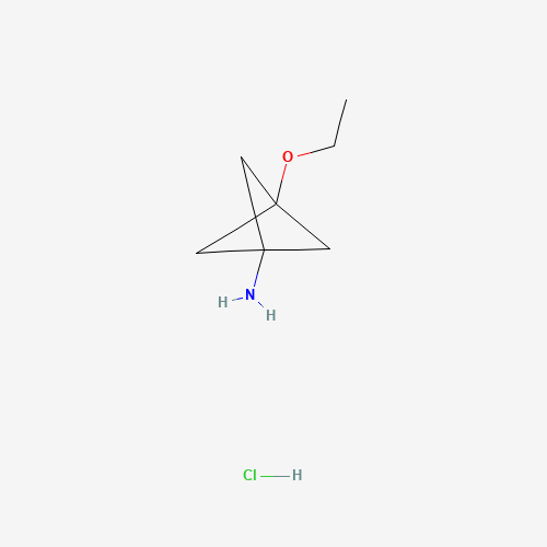 3-Ethoxybicyclo[1.1.1]pentan-1-amine hydrochloride