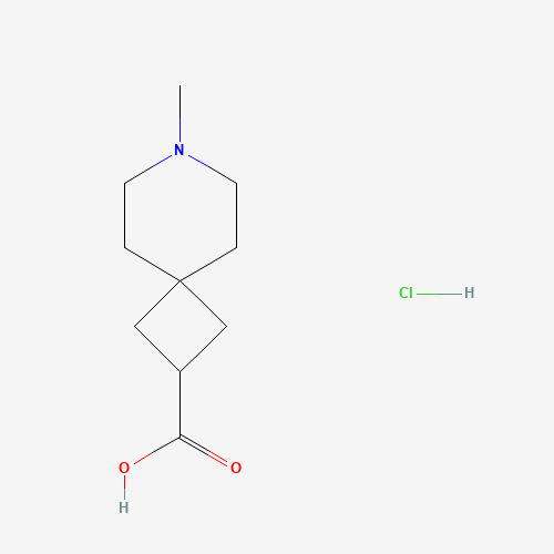 7-Methyl-7-azaspiro[3.5]nonane-2-carboxylic acid hydrochloride