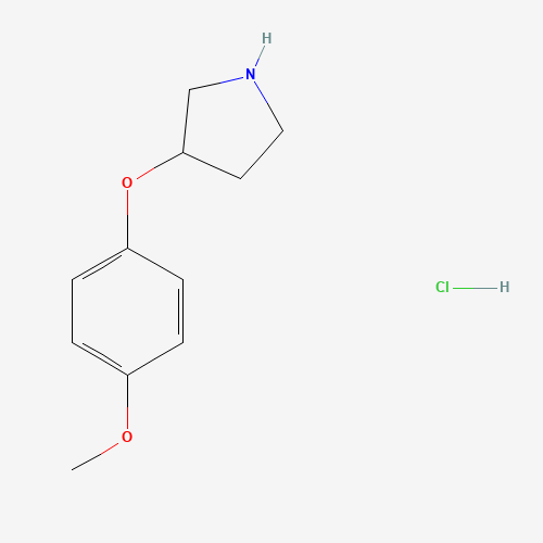 3-(4-Methoxyphenoxy)pyrrolidine hydrochloride