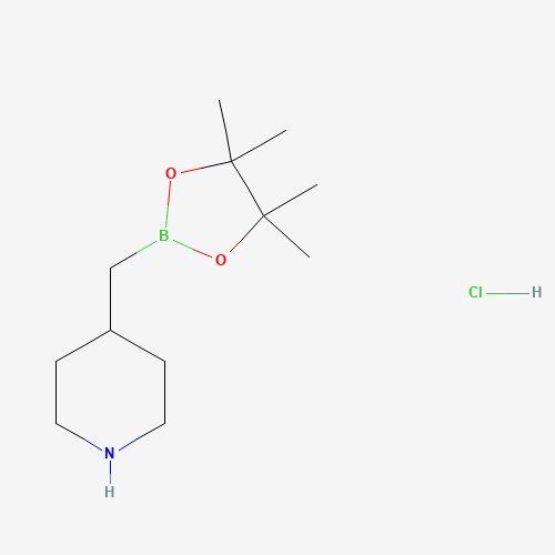 4-((4,4,5,5-Tetramethyl-1,3,2-dioxaborolan-2-yl)methyl)piperidine hydrochloride