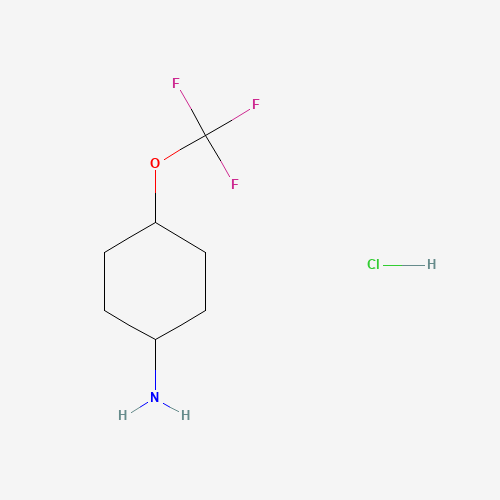 cis-4-(Trifluoromethoxy)cyclohexan-1-amine hydrochloride
