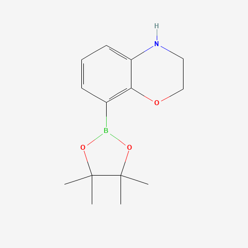 8-(4,4,5,5-Tetramethyl-1,3,2-dioxaborolan-2-yl)-3,4-dihydro-2H-benzo[b][1,4]oxazine