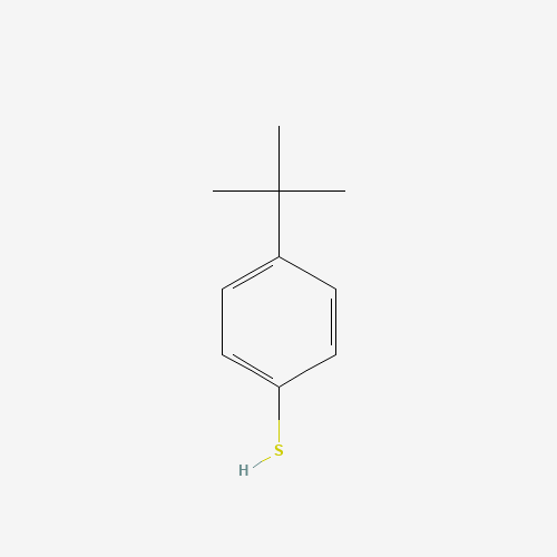 4-tert-Butylbenzenethiol
