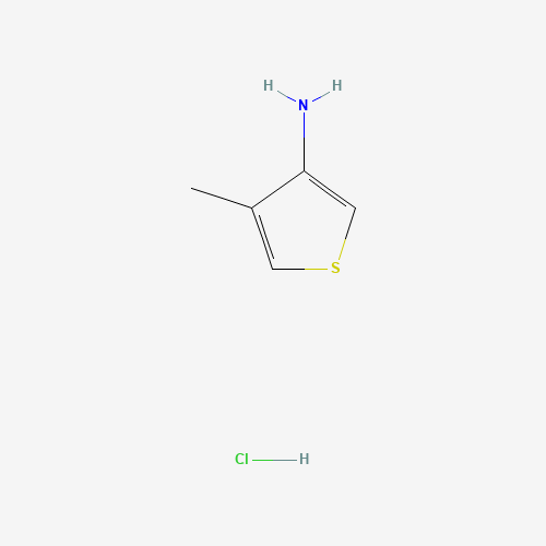 4-Methylthiophen-3-amine hydrochloride
