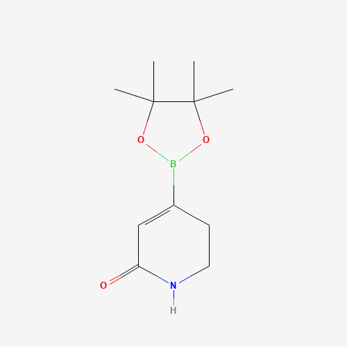 4-(4,4,5,5-Tetramethyl-1,3,2-dioxaborolan-2-yl)-5,6-dihydropyridin-2(1H)-one