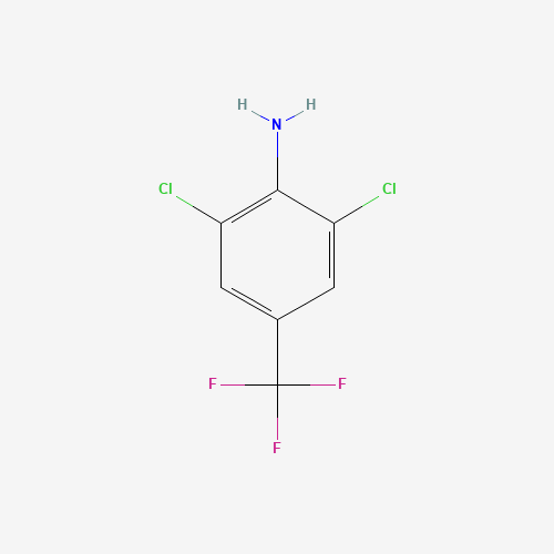 2,6-Dichloro-4-(trifluoromethyl)aniline