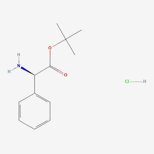 (R)-Phenylglycine tert-butyl ester HCl