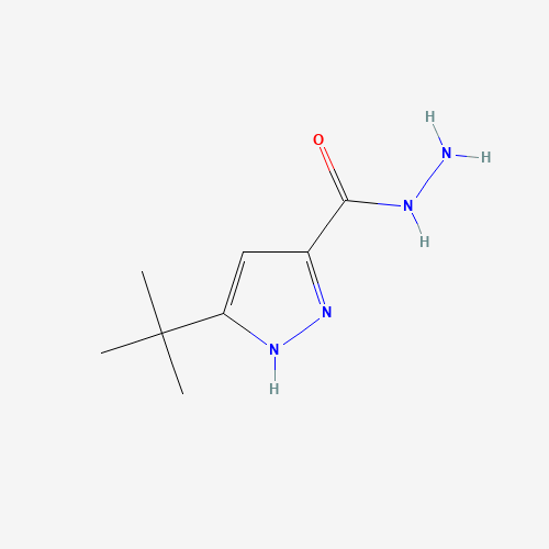 3-(tert-Butyl)-1H-pyrazole-5-carbohydrazide