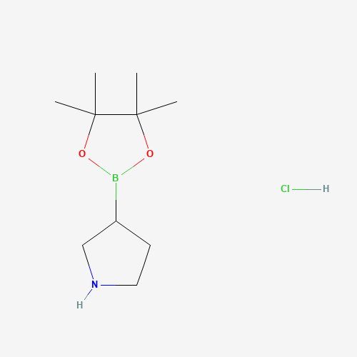 3-(4,4,5,5-Tetramethyl-1,3,2-dioxaborolan-2-yl)pyrrolidine hydrochloride