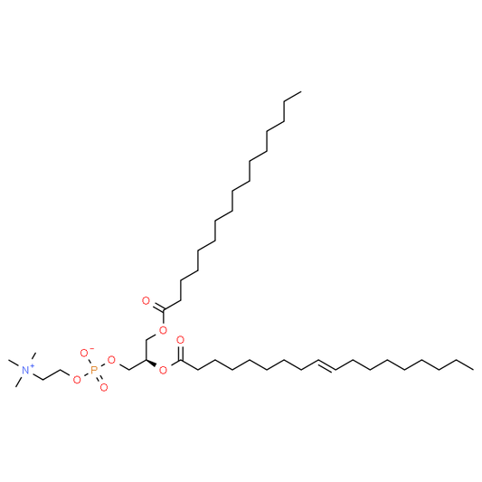 1-Palmitoyl-2-oleoyl-sn-glycero-3-PC