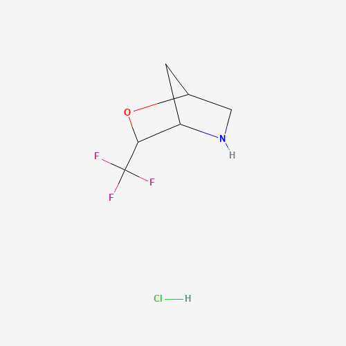3-(Trifluoromethyl)-2-oxa-5-azabicyclo[2.2.1]heptane hydrochloride