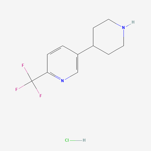 5-(Piperidin-4-yl)-2-(trifluoromethyl)pyridine hydrochloride