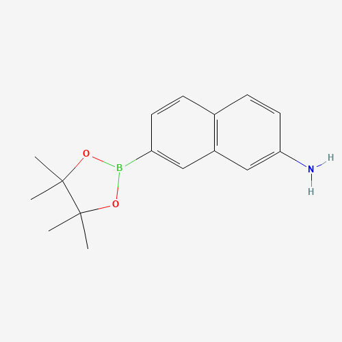 7-(4,4,5,5-Tetramethyl-1,3,2-dioxaborolan-2-yl)naphthalen-2-amine