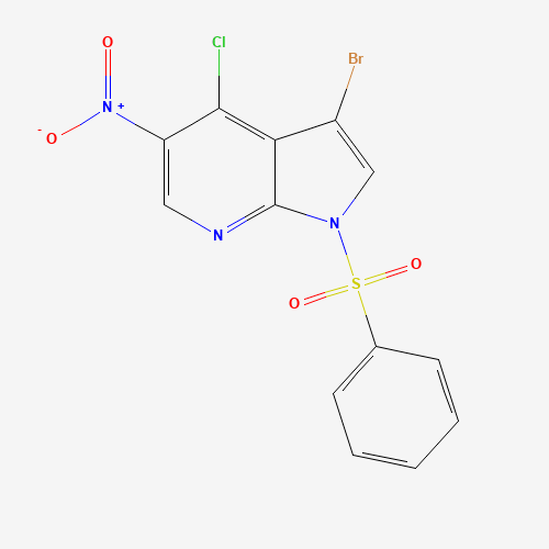 3-Bromo-4-chloro-5-nitro-1-(phenylsulfonyl)-1H-pyrrolo[2,3-b]pyridine