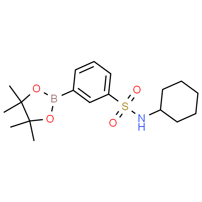 N-Cyclohexyl-3-(4,4,5,5-tetramethyl-1,3,2-dioxaborolan-2-yl)benzenesulfonamide