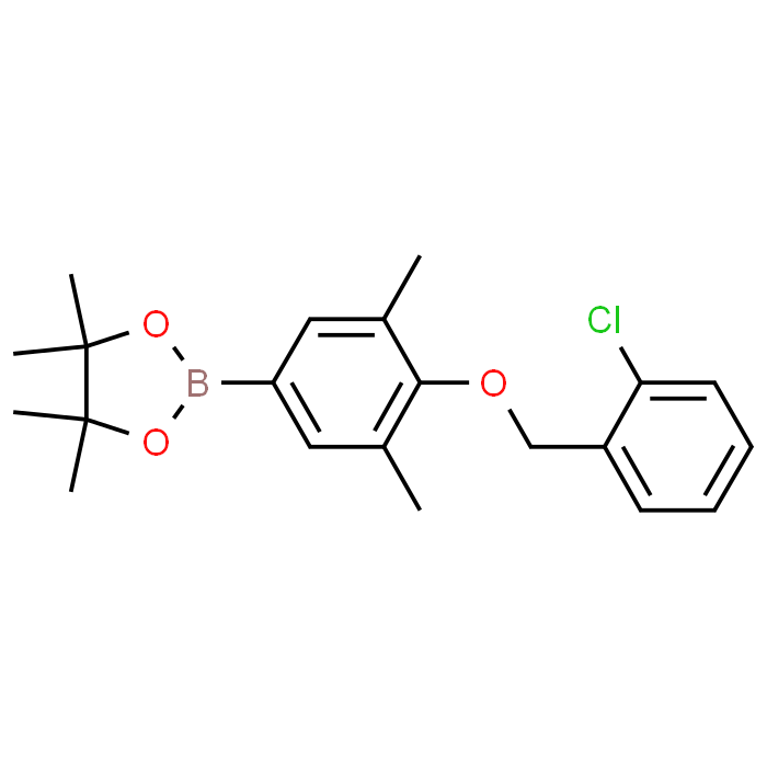 2-(4-((2-Chlorobenzyl)oxy)-3,5-dimethylphenyl)-4,4,5,5-tetramethyl-1,3,2-dioxaborolane