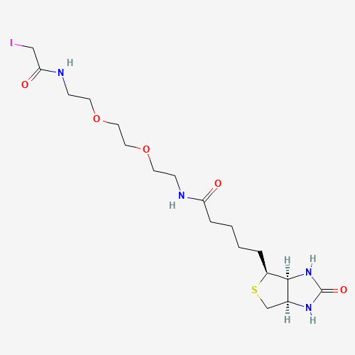 Biotin-PEG2-C2-iodoacetamide