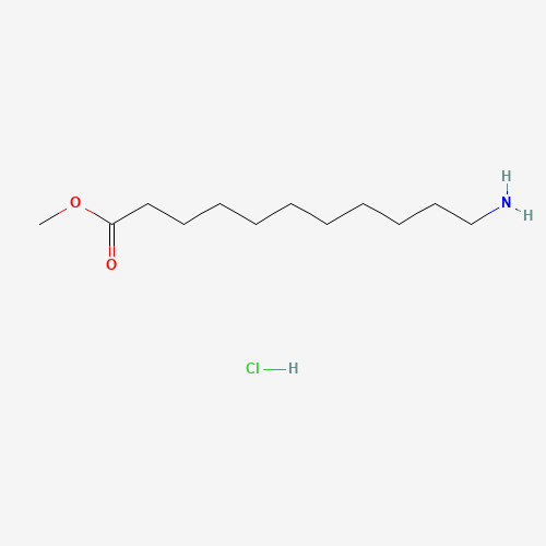 Methyl 11-aminoundecanoate HCl