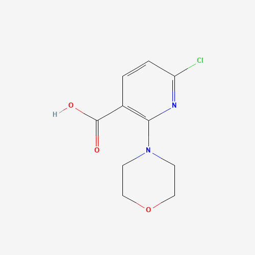 6-Chloro-2-morpholinonicotinic acid