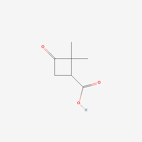 2,2-Dimethyl-3-oxocyclobutanecarboxylic acid