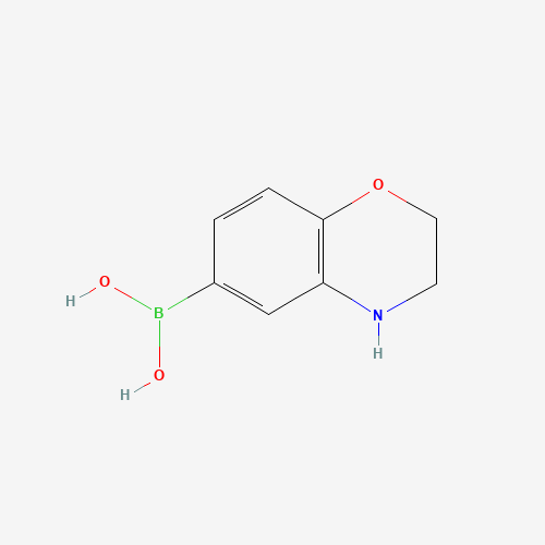 (3,4-Dihydro-2H-benzo[b][1,4]oxazin-6-yl)boronic acid