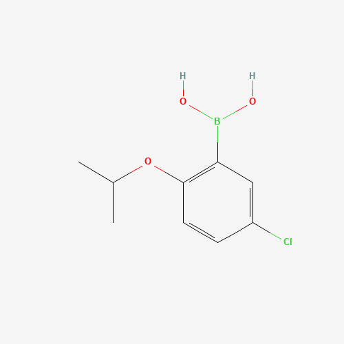 (5-Chloro-2-isopropoxyphenyl)boronic acid