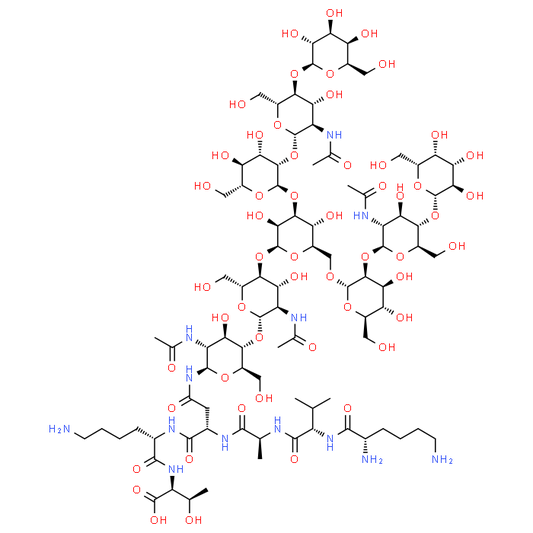 G2-peptide