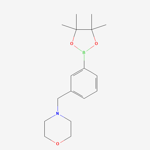 4-(3-(4,4,5,5-Tetramethyl-1,3,2-dioxaborolan-2-yl)benzyl)morpholine