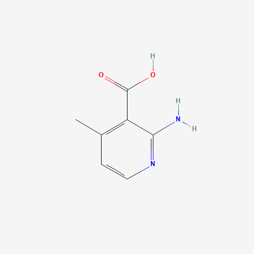 2-Amino-4-methylnicotinic acid