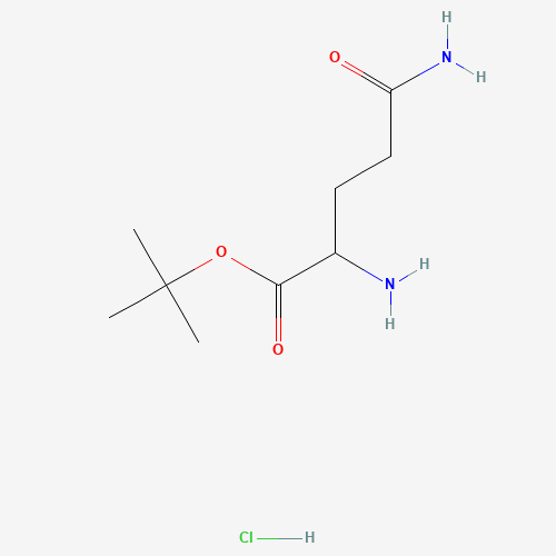 H-Gln-OtBu·HCl