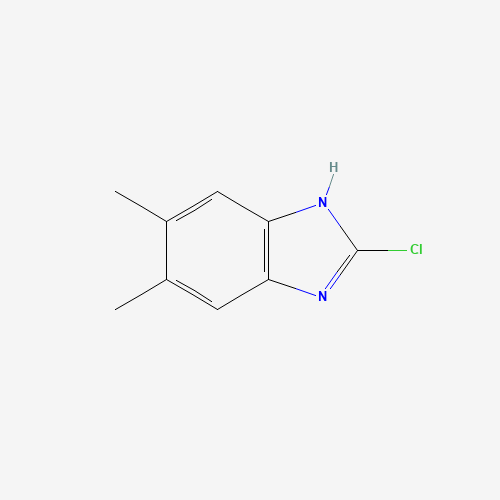 2-Chloro-5,6-dimethyl-1H-benzimidazole