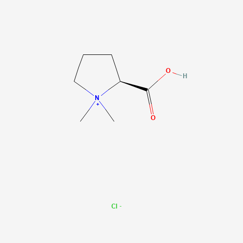 Stachydrine HCl