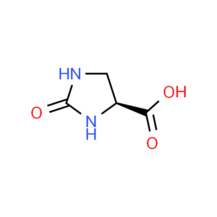 (S)-2-Oxoimidazolidine-4-carboxylic acid