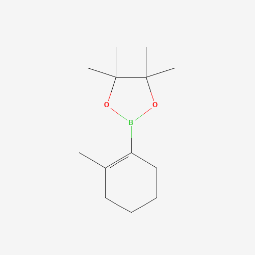 4,4,5,5-Tetramethyl-2-(2-methylcyclohex-1-en-1-yl)-1,3,2-dioxaborolane