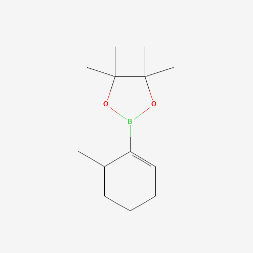 4,4,5,5-Tetramethyl-2-(6-methylcyclohex-1-en-1-yl)-1,3,2-dioxaborolane