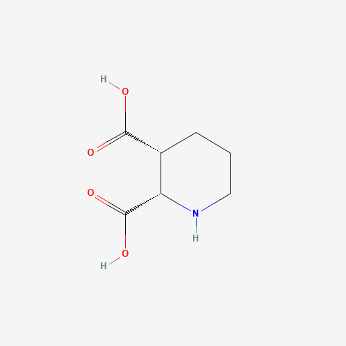 cis-Piperidine-2,3-dicarboxylic acid