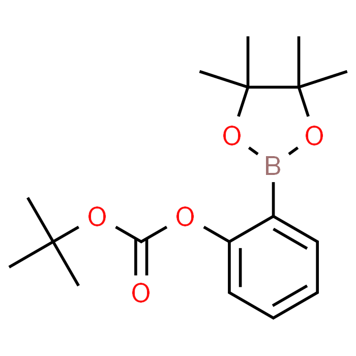 tert-Butyl (2-(4,4,5,5-tetramethyl-1,3,2-dioxaborolan-2-yl)phenyl) carbonate