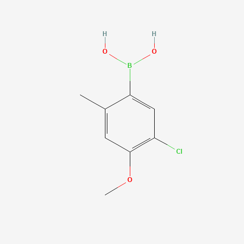 (5-Chloro-4-methoxy-2-methylphenyl)boronic acid