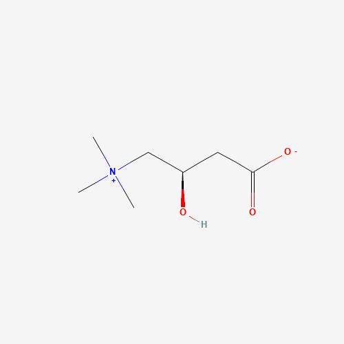 L-Carnitine