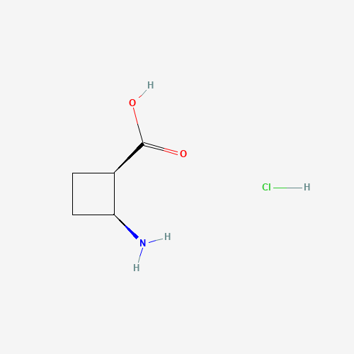 cis-2-Aminocyclobutanecarboxylic acid hydrochloride