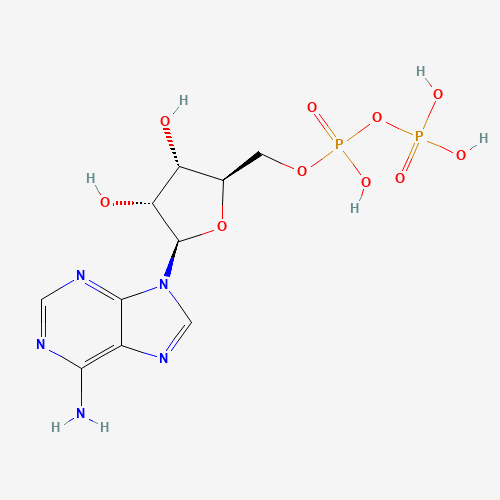 Adenosine 5'-diphosphate