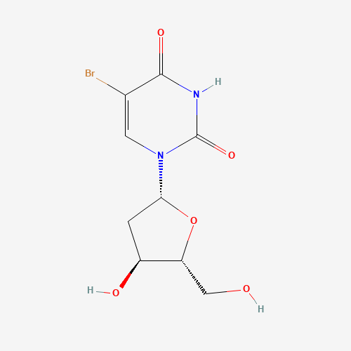 5-BrdU
